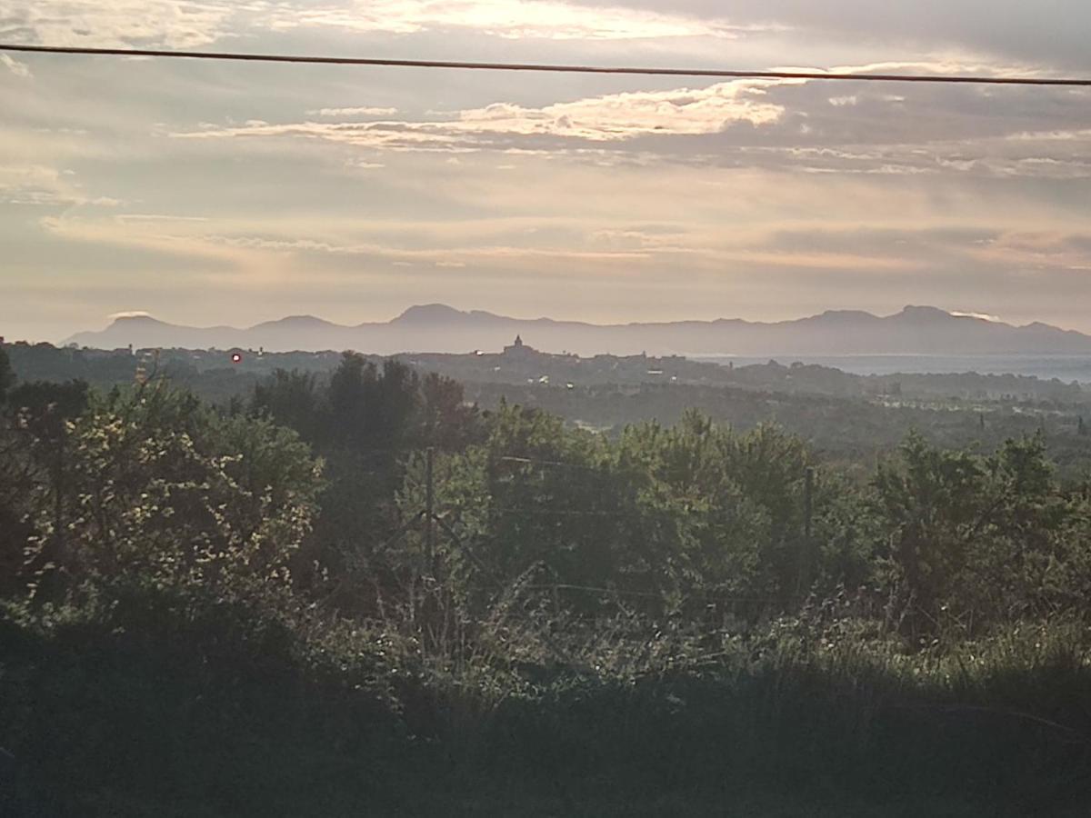 Agroturisme Subies Selva  Exteriör bild